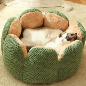 Petal-shaped Dog Beds