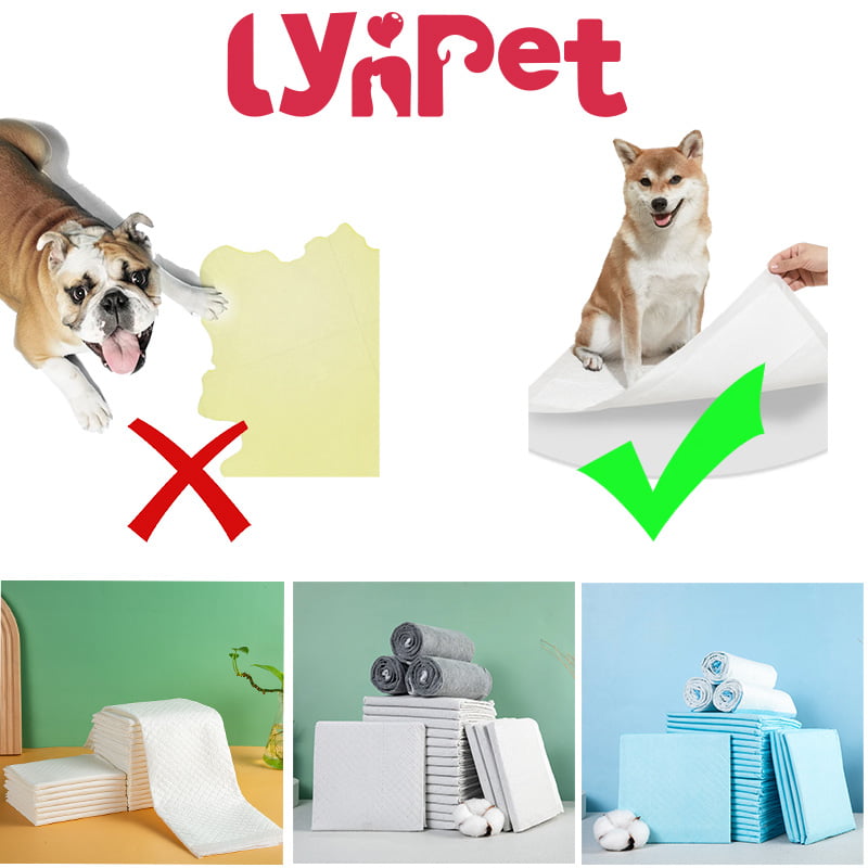 why wont my dog pee on the pad anymore2