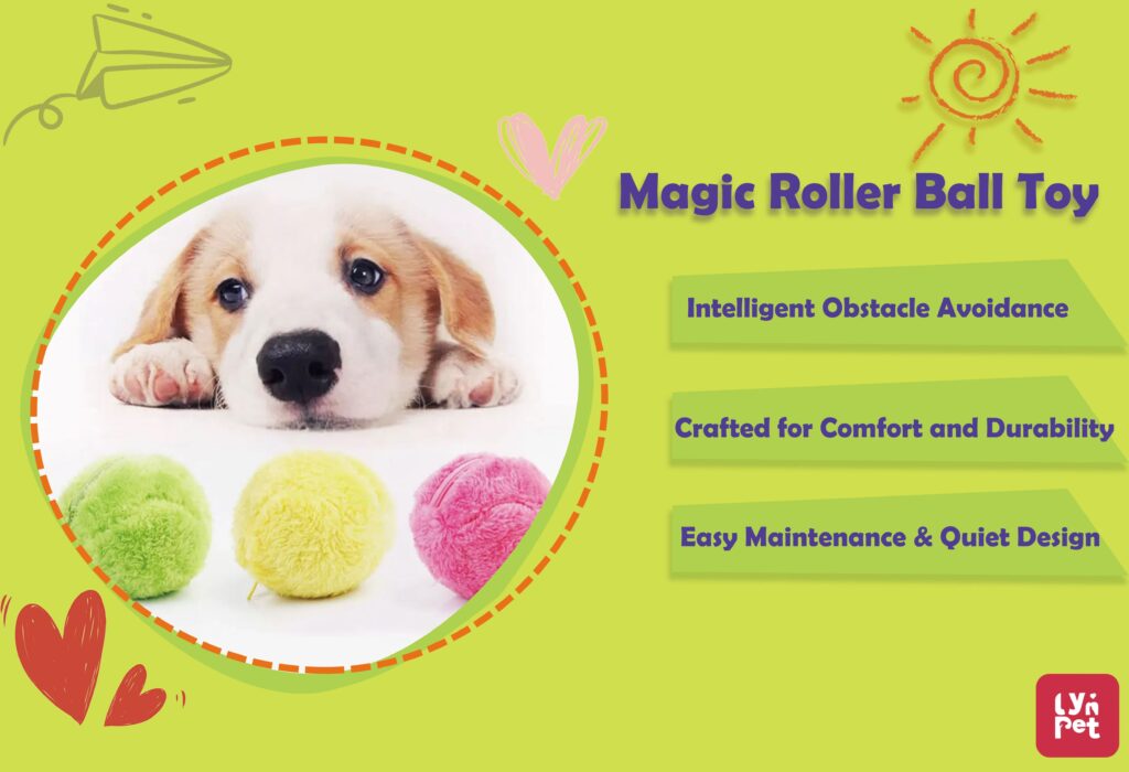 微信图片 20240521182923